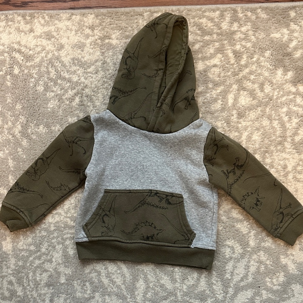 Falls Creek Dinosaur Hoodie - 18 months